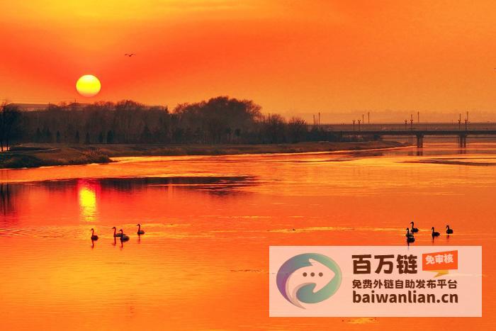 山西绛州夕阳洒金 越冬候鸟沐浴落日余晖 (山西晋中夕阳县天气预报)